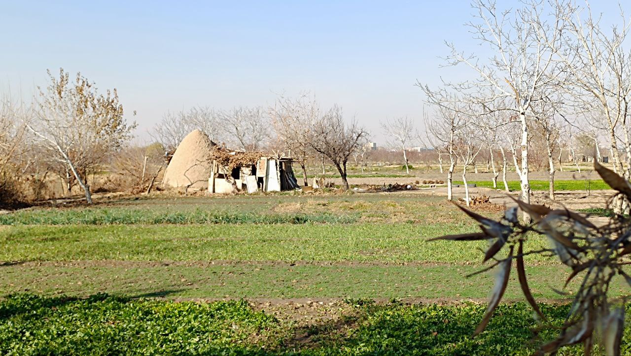 باغ در پاییز حکم آباد